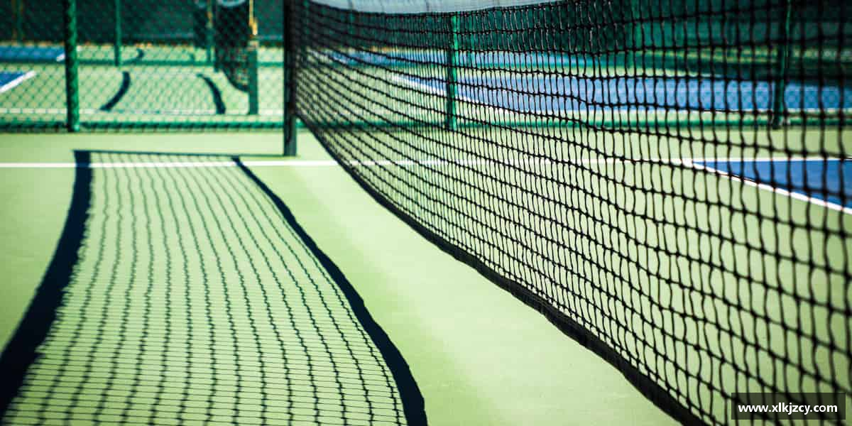 关于Bsport手机版